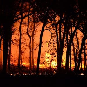 Bushfire Insurance