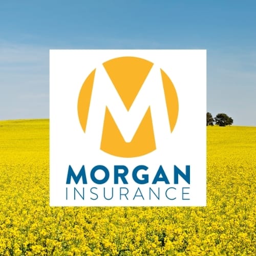 What you can expect from Morgan Insurance
